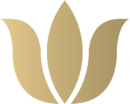 Bloom Innovation Group LLC